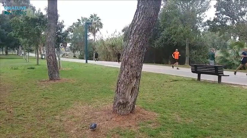 Yarkon Park - Quiet place in Tel Aviv